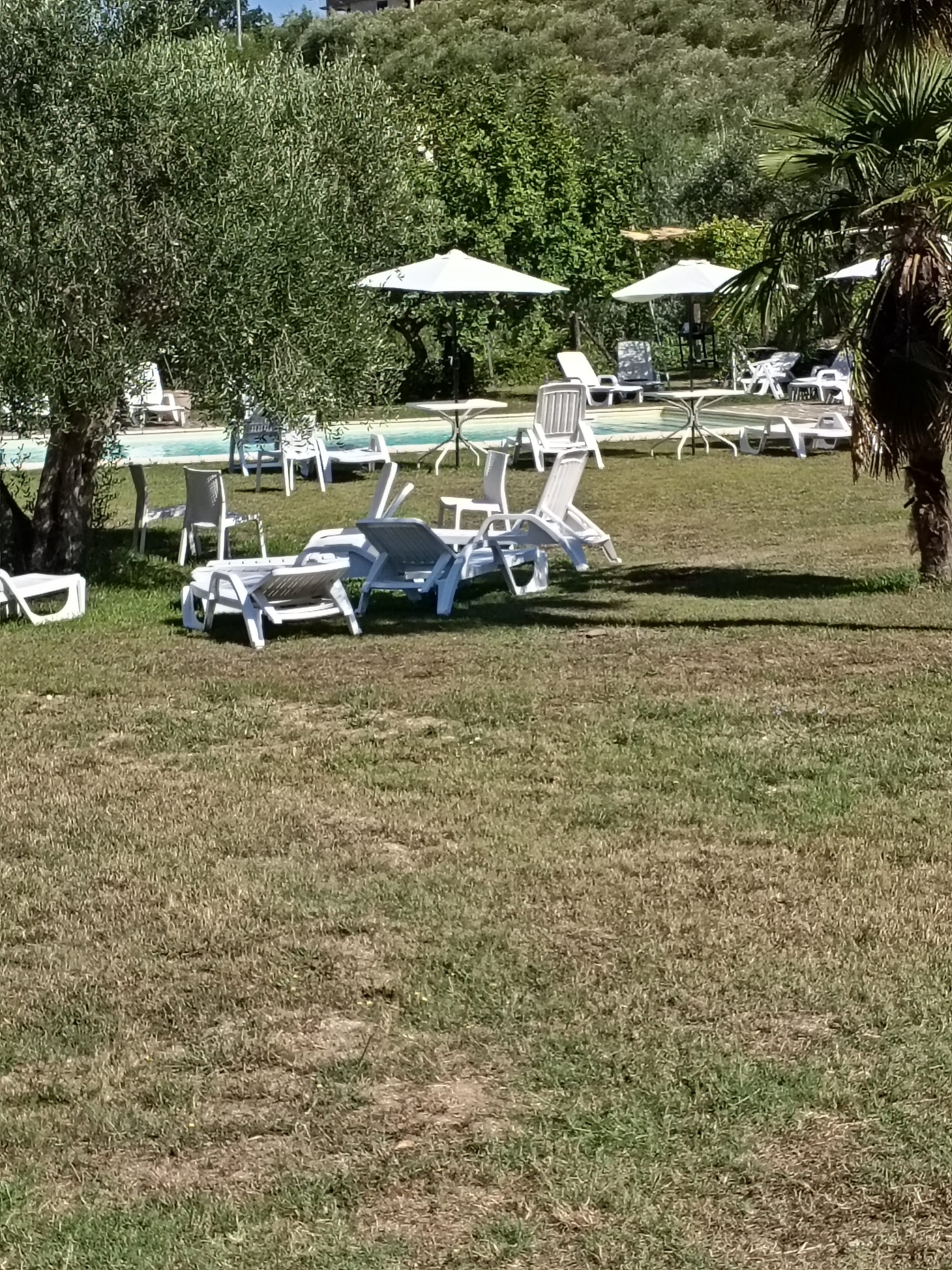 Tenuta Torre in Pietra