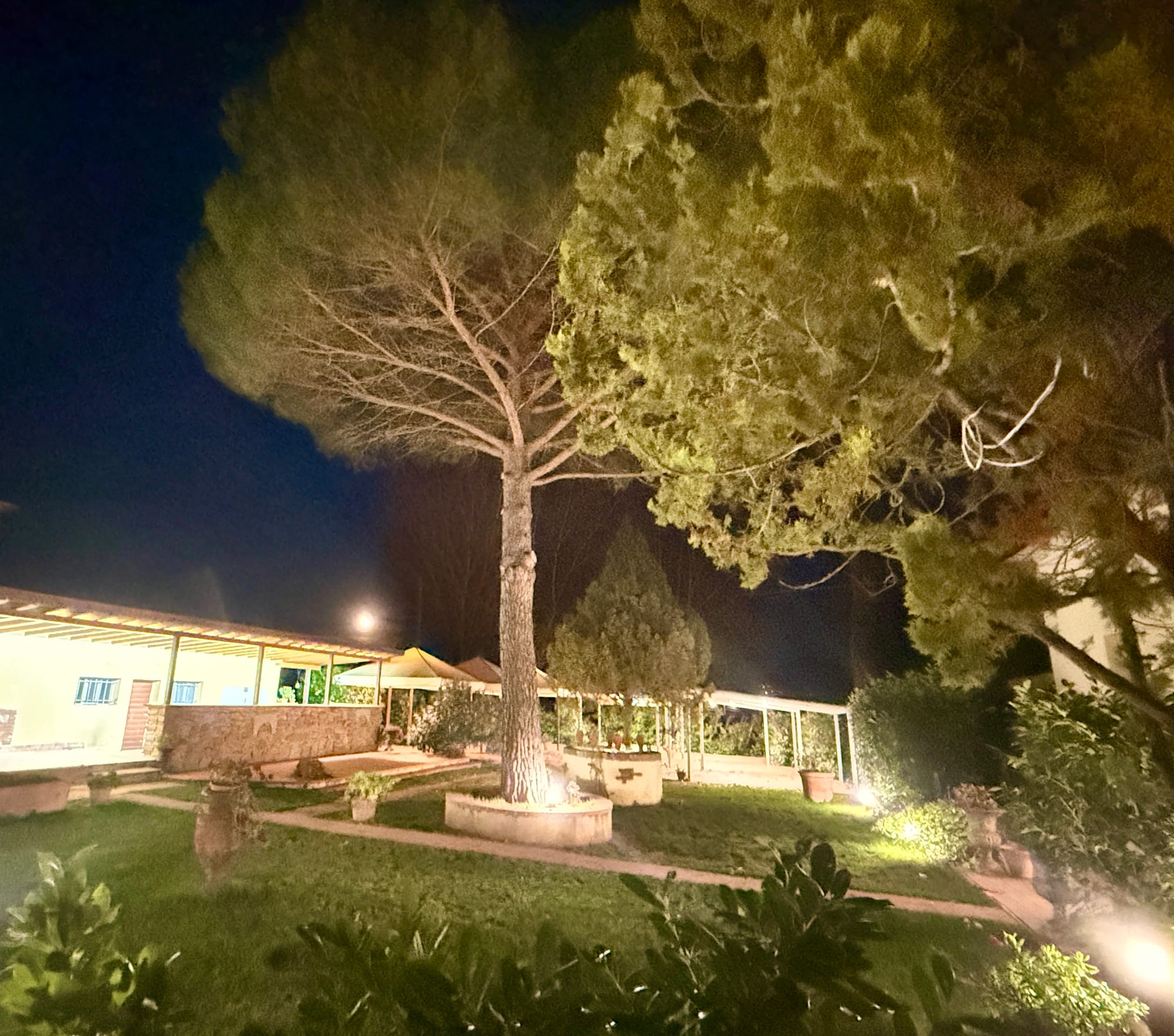 Villa Podere degli Olmi