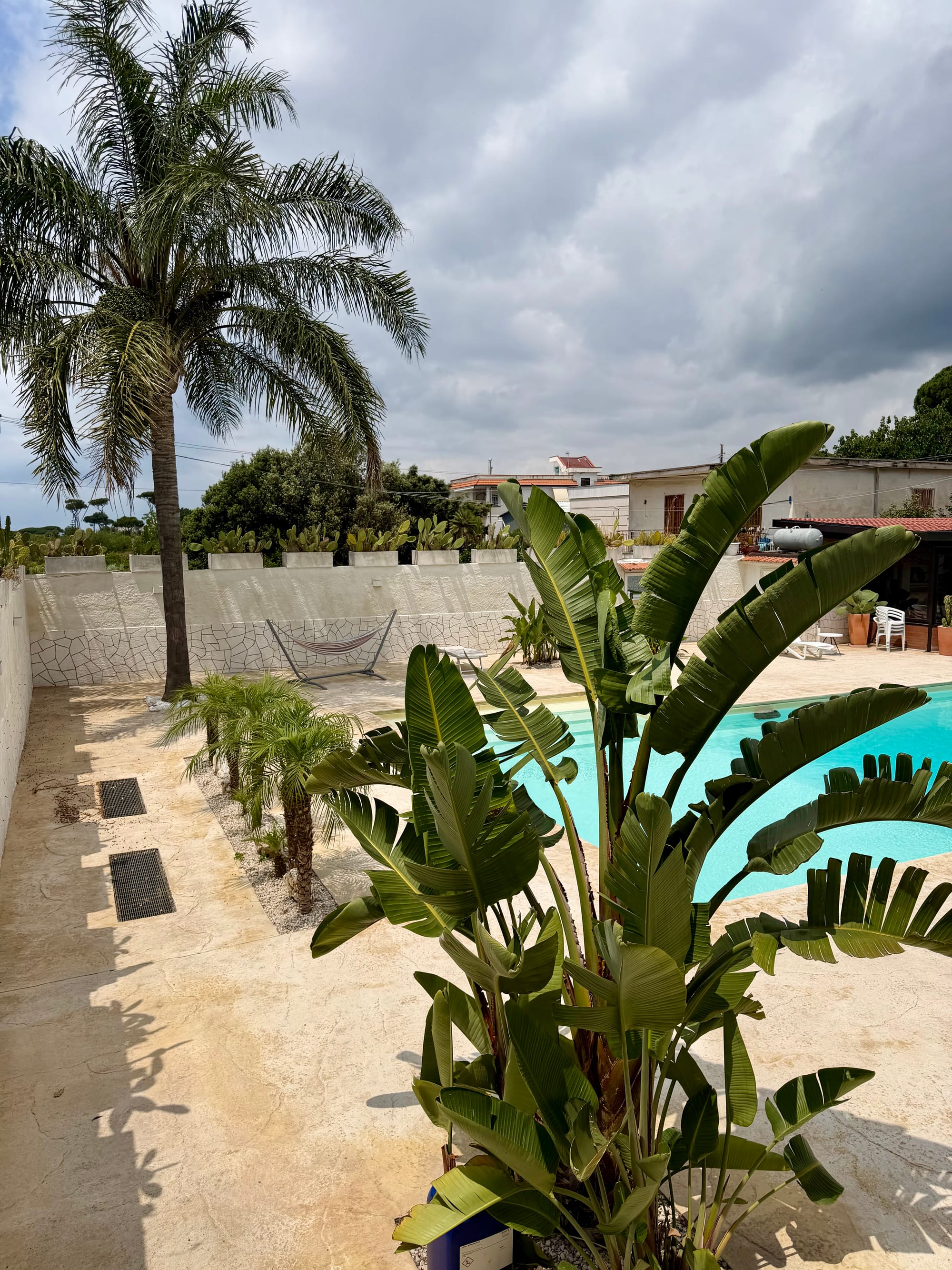 La Pineta