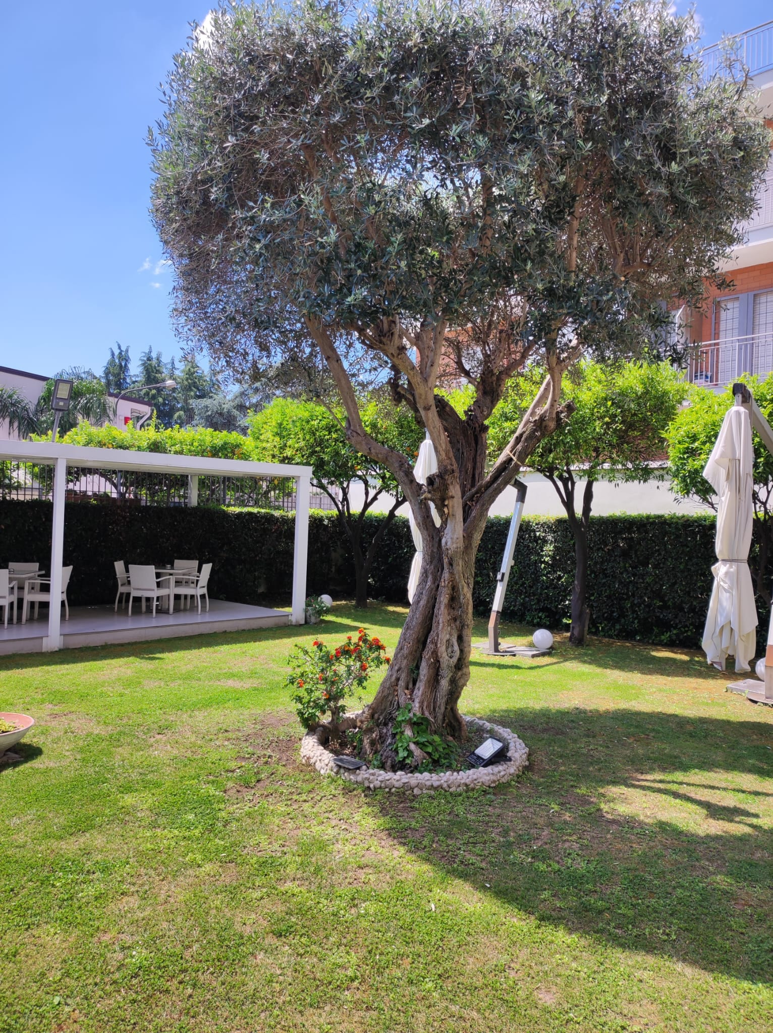 SALA GARDEN