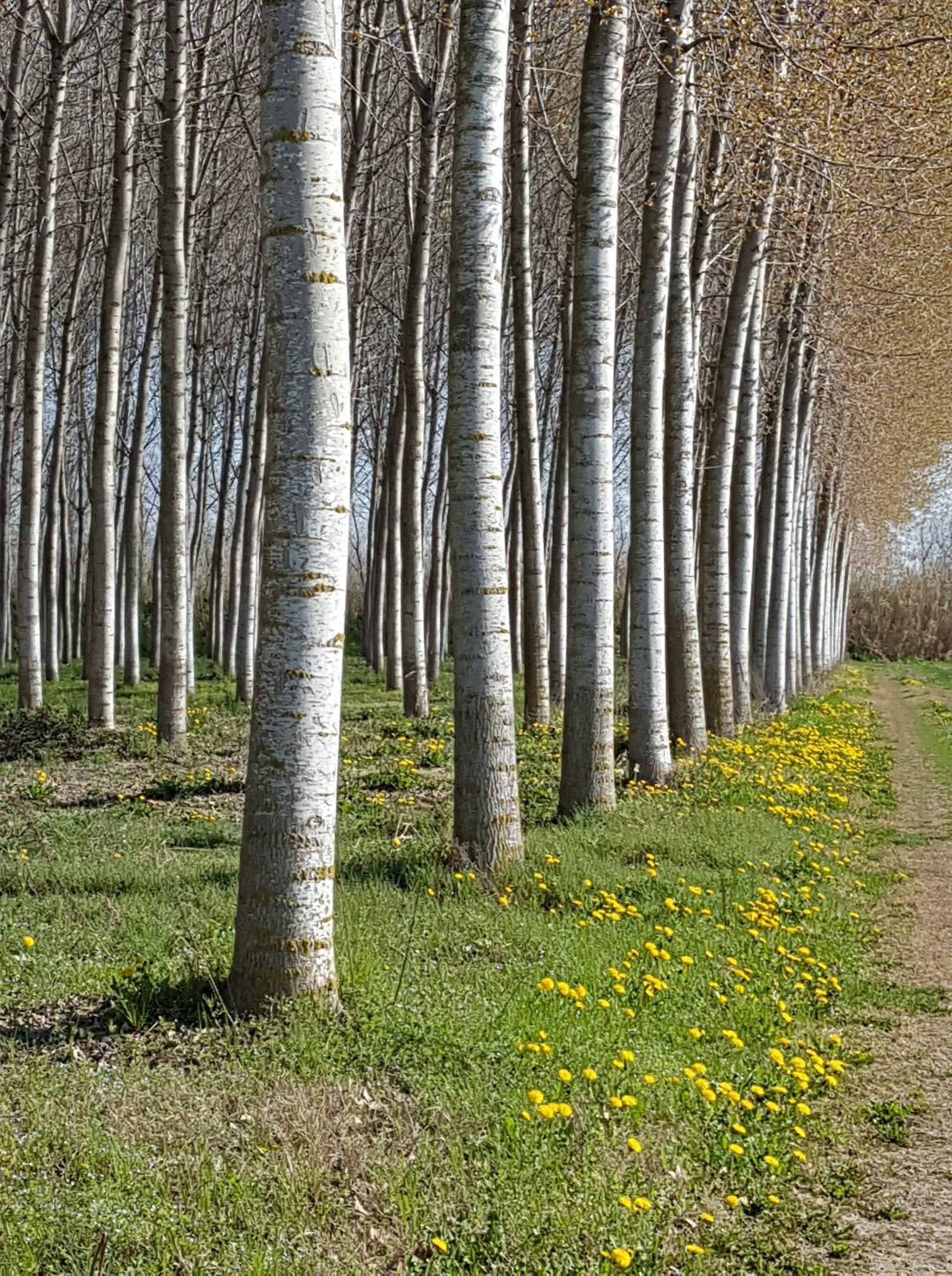 Casa del Bosco – Giardino per Event