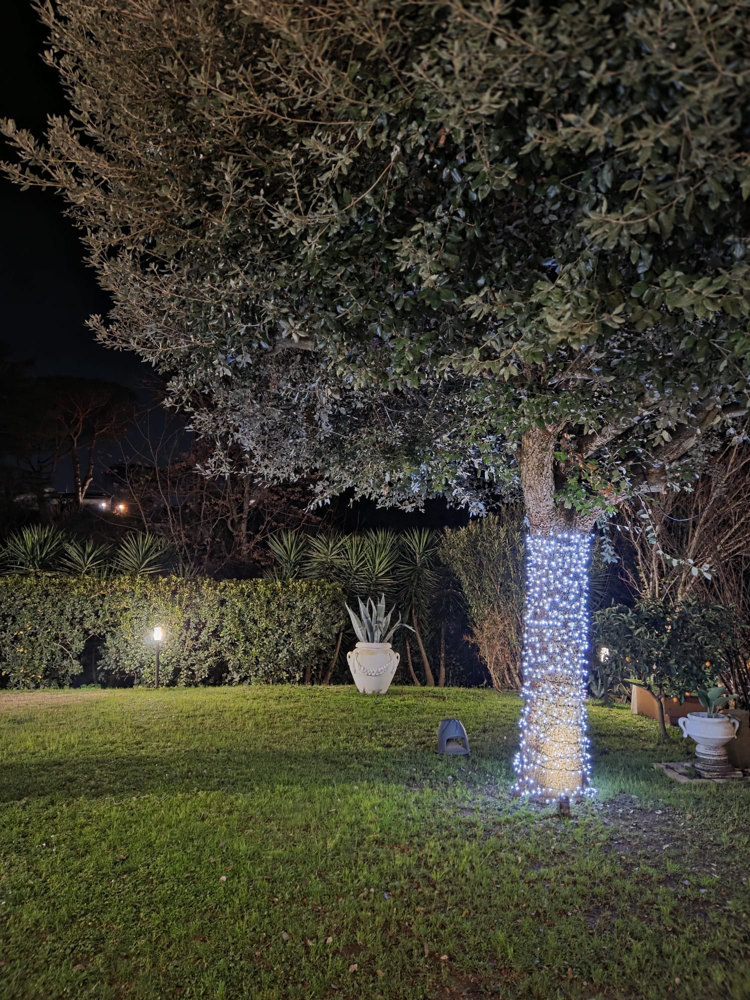 Giardino e Terrazze