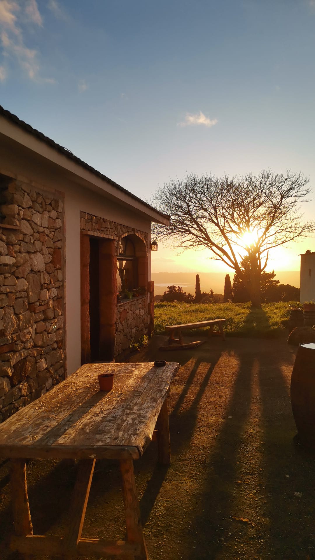 Il Cortile degli Ulivi e del Frumento