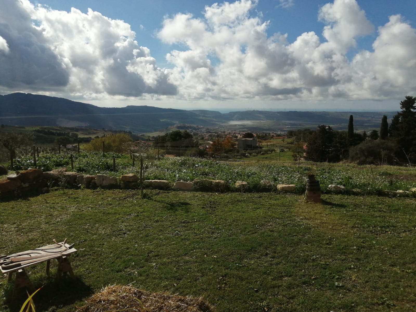 Il Cortile degli Ulivi e del Frumento