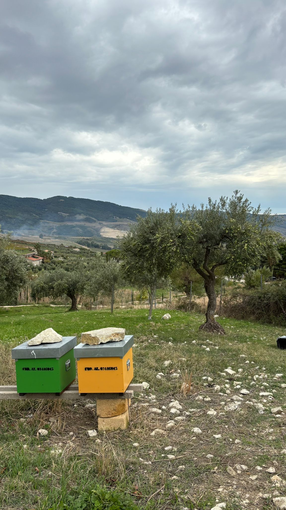 Azienda Agricola CONTADINO DI GALLUZZO