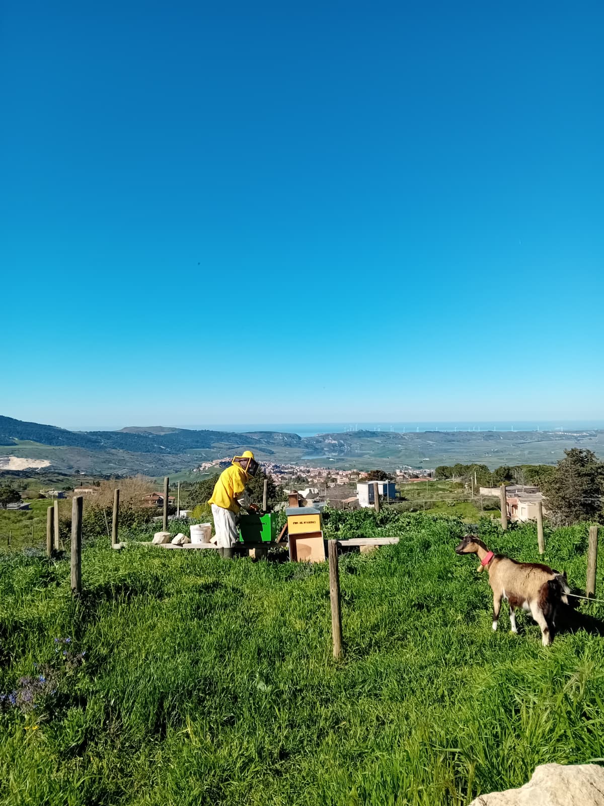 Azienda Agricola CONTADINO DI GALLUZZO