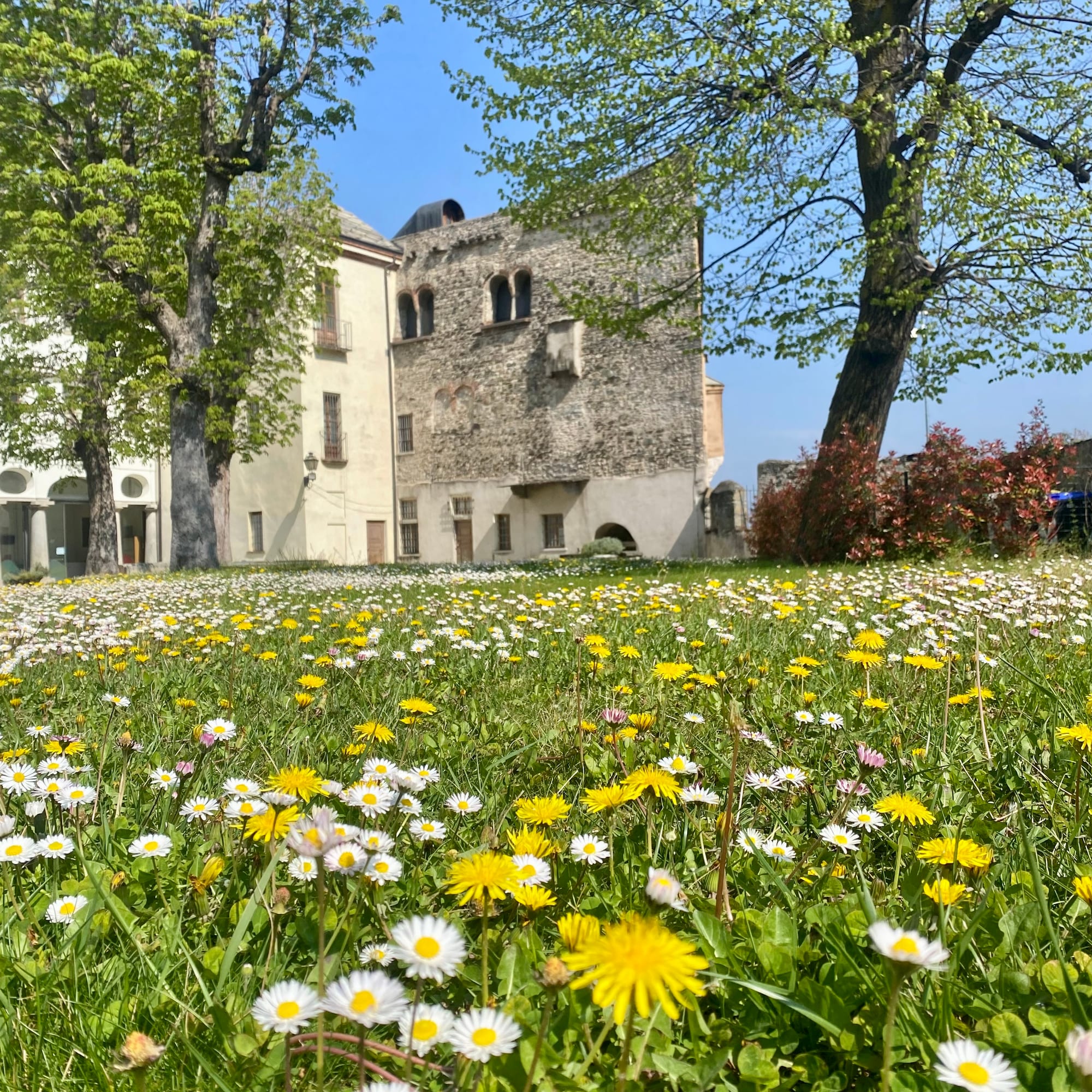 Castello di Adelaide, Susa