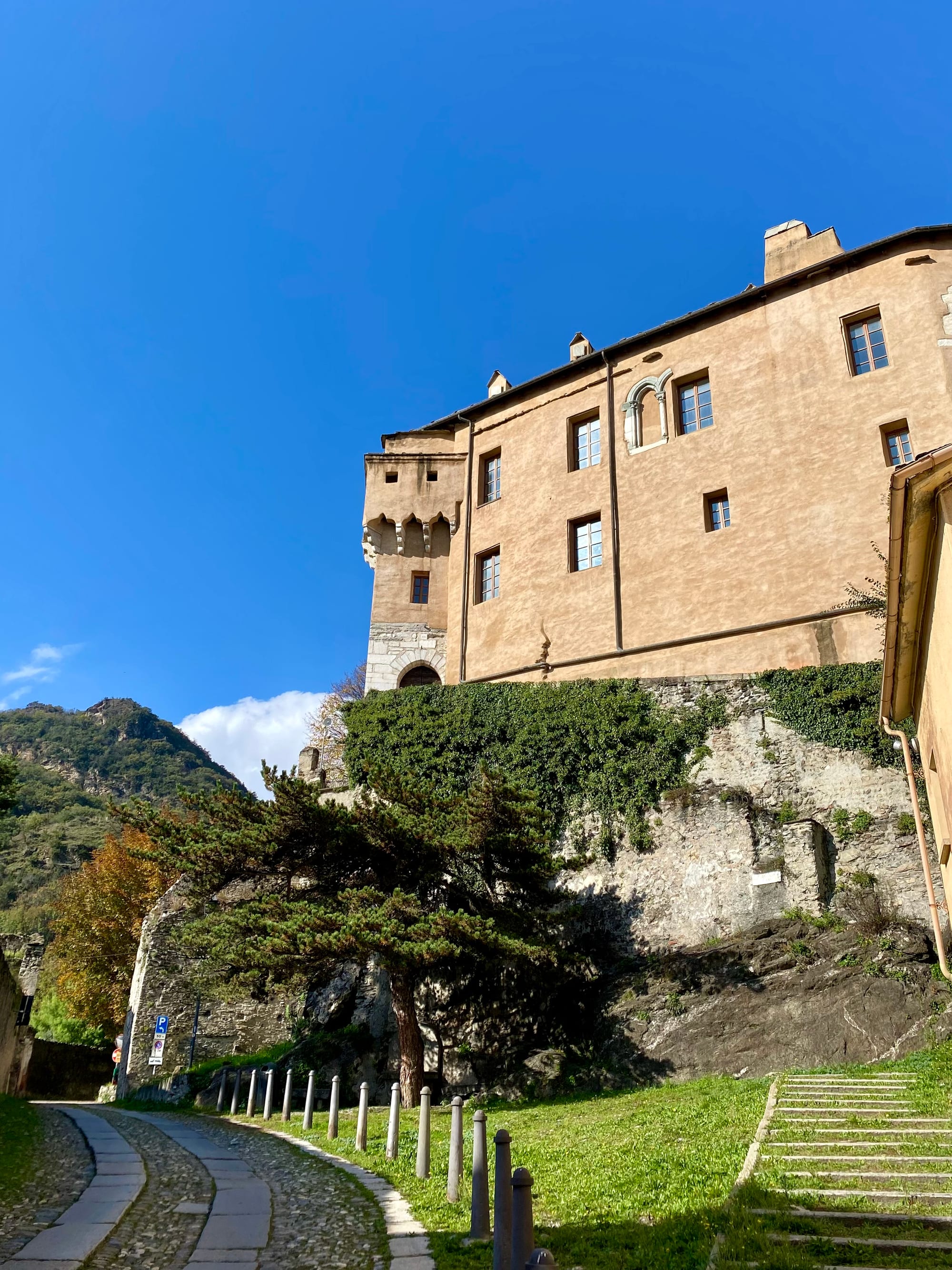 Castello di Adelaide, Susa