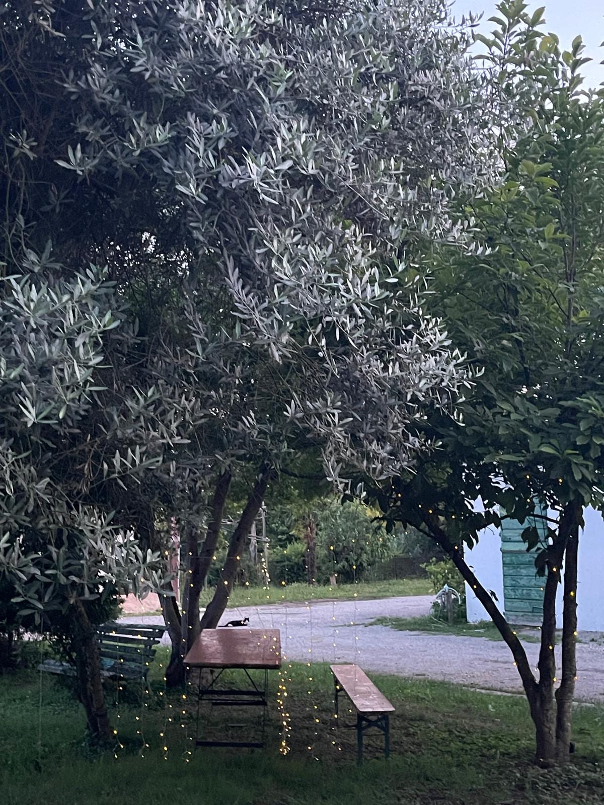 Tenuta La Baldana