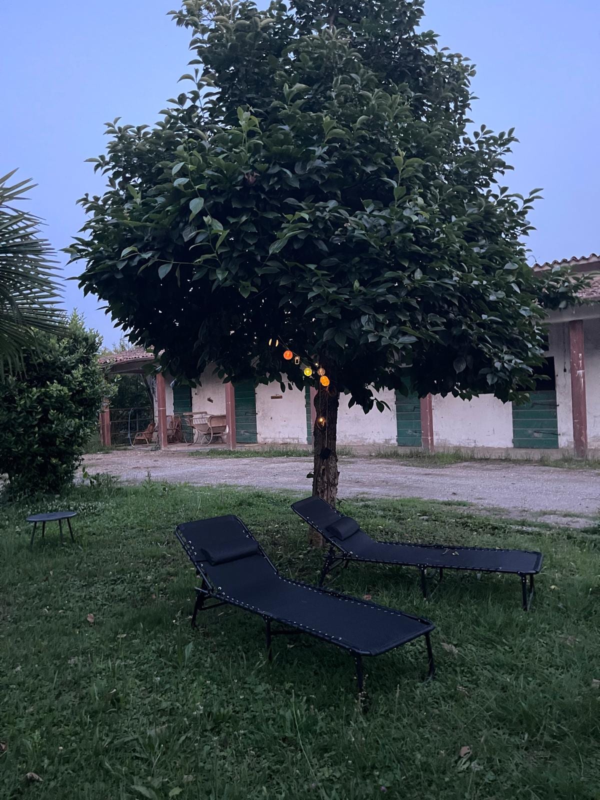 Tenuta La Baldana