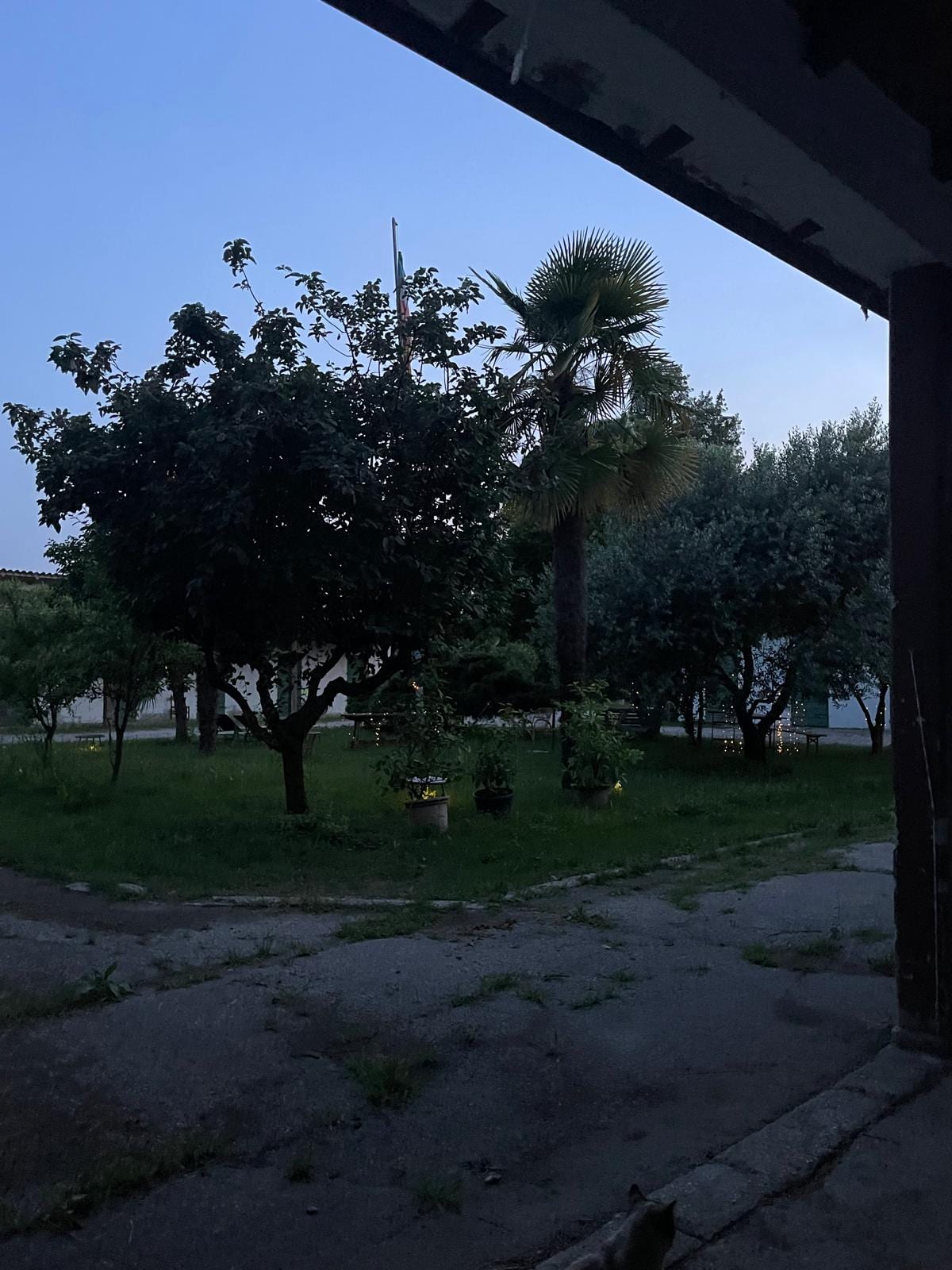 Tenuta La Baldana