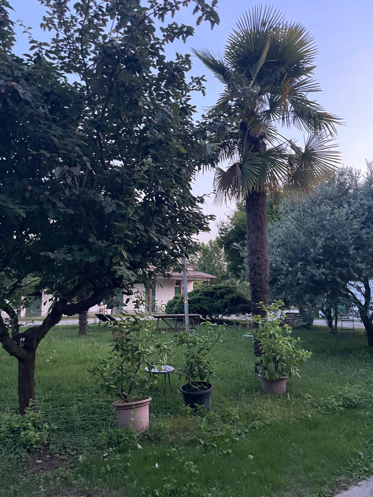 Tenuta La Baldana