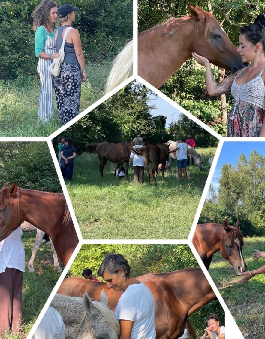 Tenuta La Baldana